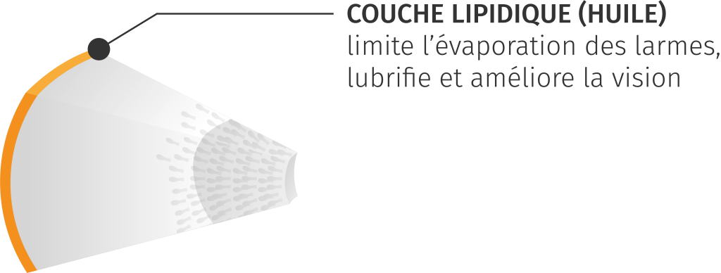 Diagnosis 10 couches interferometrie meibographie clignement